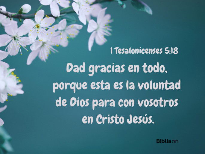 Dad gracias en todo, porque esta es la voluntad de Dios para con vosotros en Cristo Jesús. (1 Tesalonicenses 5:18)