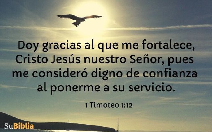 Doy gracias al que me fortalece, Cristo Jesús nuestro Señor, pues me consideró digno de confianza al ponerme a su servicio. (1 Timoteo 1:12)