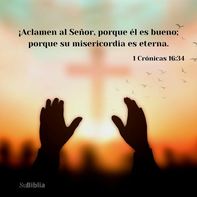 ¡Aclamen al Señor porque él es bueno; porque su misericordia es eterna! (1 Crónicas 16:34)