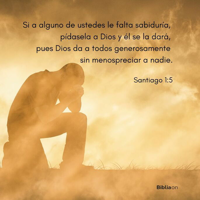 Si a alguno de ustedes le falta sabiduría, pídasela a Dios y él se la dará, pues Dios da a todos generosamente sin menospreciar a nadie. (Santiago 1:5)