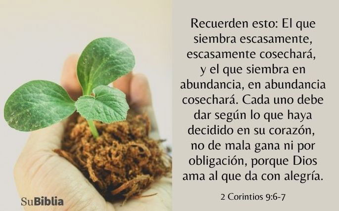 Recuerden esto: El que siembra escasamente, escasamente cosechará, y el que siembra en abundancia, en abundancia cosechará. Cada uno debe dar según lo que haya decidido en su corazón, no de mala gana ni por obligación, porque Dios ama al que da con alegría. (2 Corintios 9:6-7)