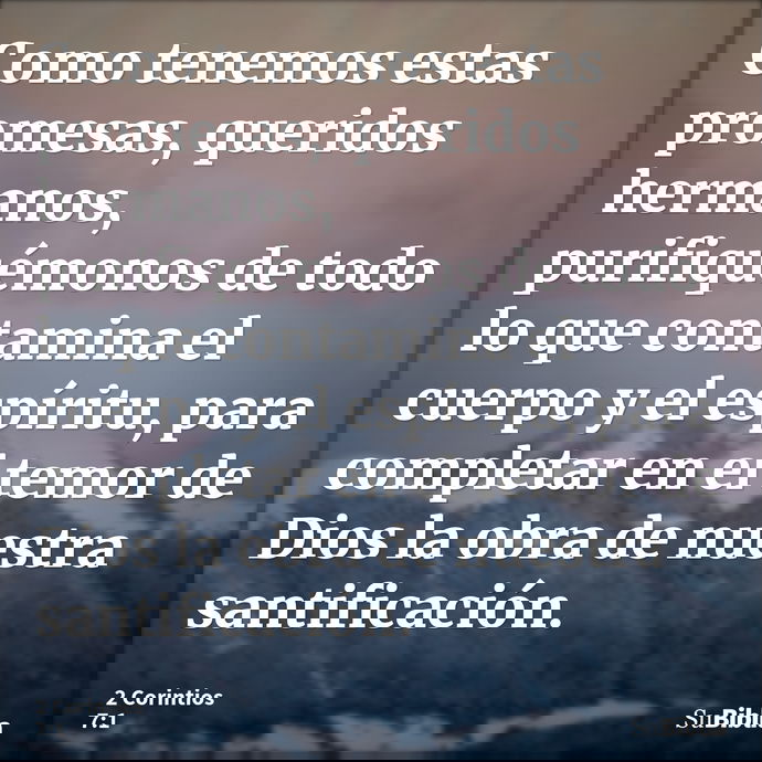 Como tenemos estas promesas, queridos hermanos, purifiquémonos de todo lo que contamina el cuerpo y el espíritu, para completar en el temor de Dios la obra de n... --- 2 Corintios 7:1