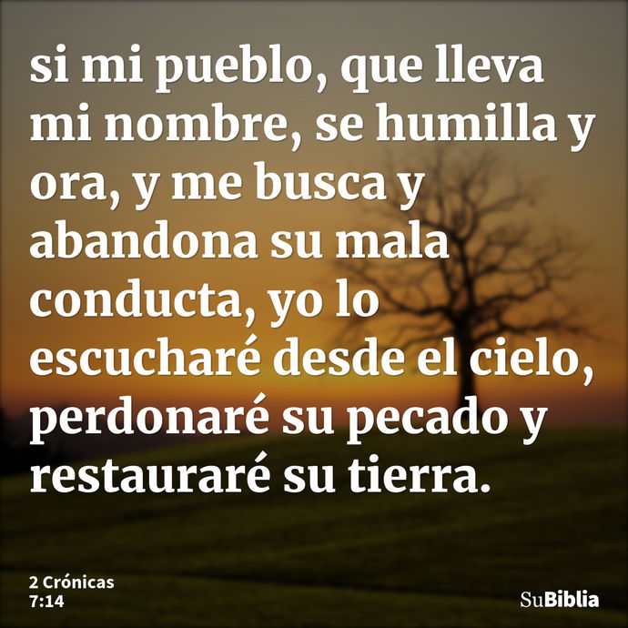 si mi pueblo, que lleva mi nombre, se humilla y ora, y me busca y abandona su mala conducta, yo lo escucharé desde el cielo, perdonaré su pecado y restauraré su... --- 2 Crónicas 7:14