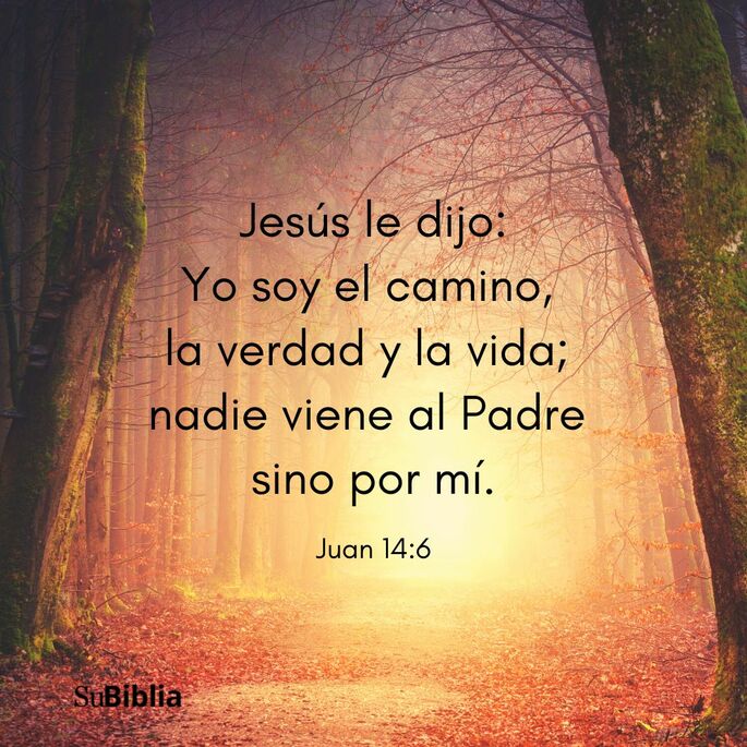 Jesús le dijo: Yo soy el camino, y la verdad y la vida; nadie viene al Padre sino por mí. (Juan 14:6)