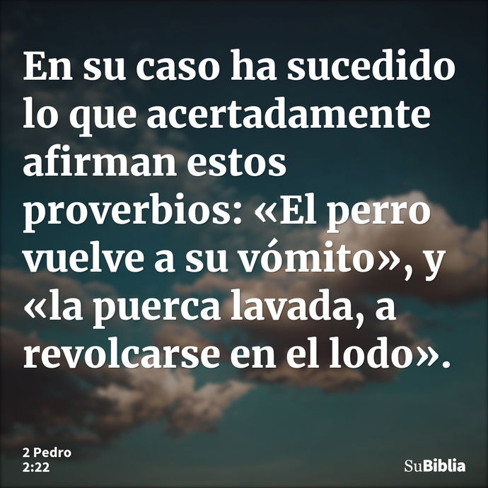 En su caso ha sucedido lo que acertadamente afirman estos proverbios: «El perro vuelve a su vómito», y «la puerca lavada, a revolcarse en el lodo». --- 2 Pedro 2:22