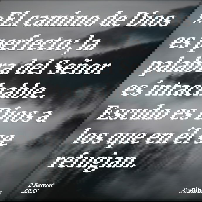 »El camino de Dios es perfecto; la palabra del Señor es intachable. Escudo es Dios a los que en él se refugian. --- 2 Samuel 22:31