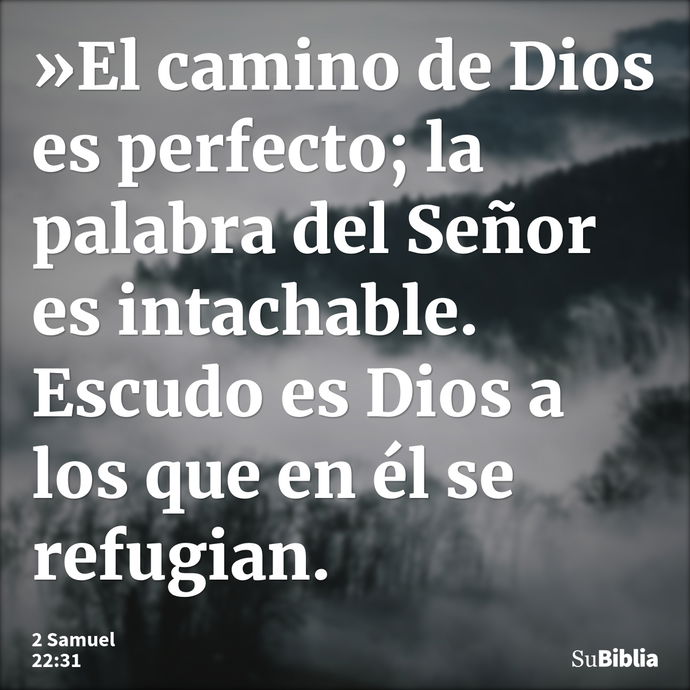 »El camino de Dios es perfecto; la palabra del Señor es intachable. Escudo es Dios a los que en él se refugian. --- 2 Samuel 22:31