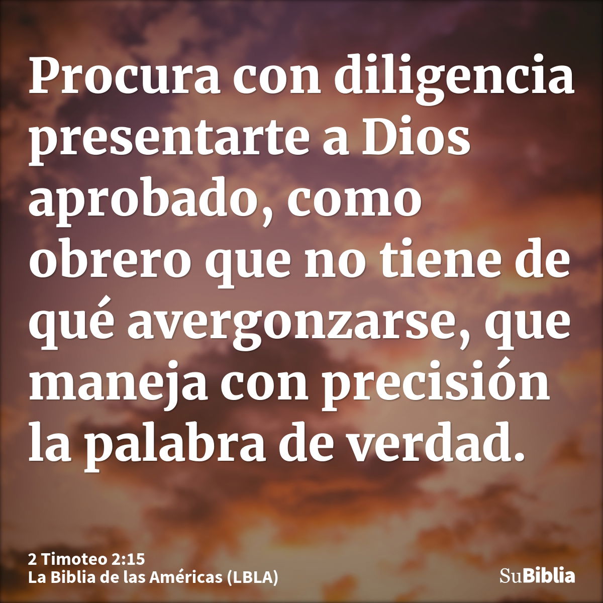 Procura con diligencia presentarte a Dios aprobado, como obrero que no tiene de qué avergonzarse, que maneja con precisión la palabra de verdad.