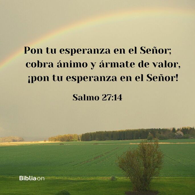 Pon tu esperanza en el Señor; cobra ánimo y ármate de valor, ¡pon tu esperanza en el Señor! (Salmo 27:14)
