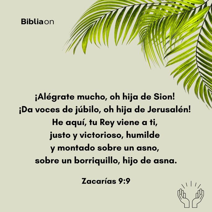 ¡Alégrate mucho, oh hija de Sion! ¡Da voces de júbilo, oh hija de Jerusalén! He aquí, tu Rey viene a ti, justo y victorioso, humilde y montado sobre un asno, sobre un borriquillo, hijo de asna. (Zacarías 9:9)