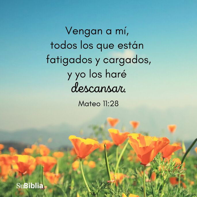 Vengan a mí, todos los que están fatigados y cargados, y yo los haré descansar. (Mateo 11:28, versión Reina-Valera Actualizada)