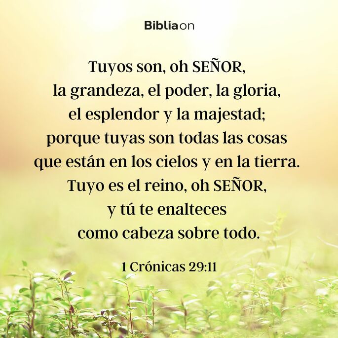 Tuyos son, oh Señor, la grandeza, el poder, la gloria, el esplendor y la majestad; porque tuyas son todas las cosas que están en los cielos y en la tierra. Tuyo es el reino, oh Señor, y tú te enalteces como cabeza sobre todo. (1 Crónicas 29:11)