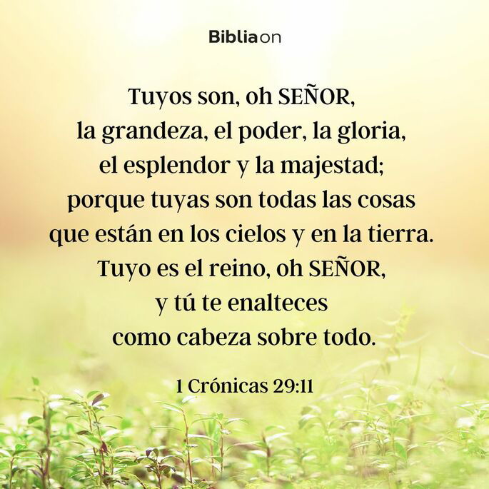 Tuyos son, oh Señor, la grandeza, el poder, la gloria, el esplendor y la majestad; porque tuyas son todas las cosas que están en los cielos y en la tierra. Tuyo es el reino, oh Señor, y tú te enalteces como cabeza sobre todo. (1 Crónicas 29:11)