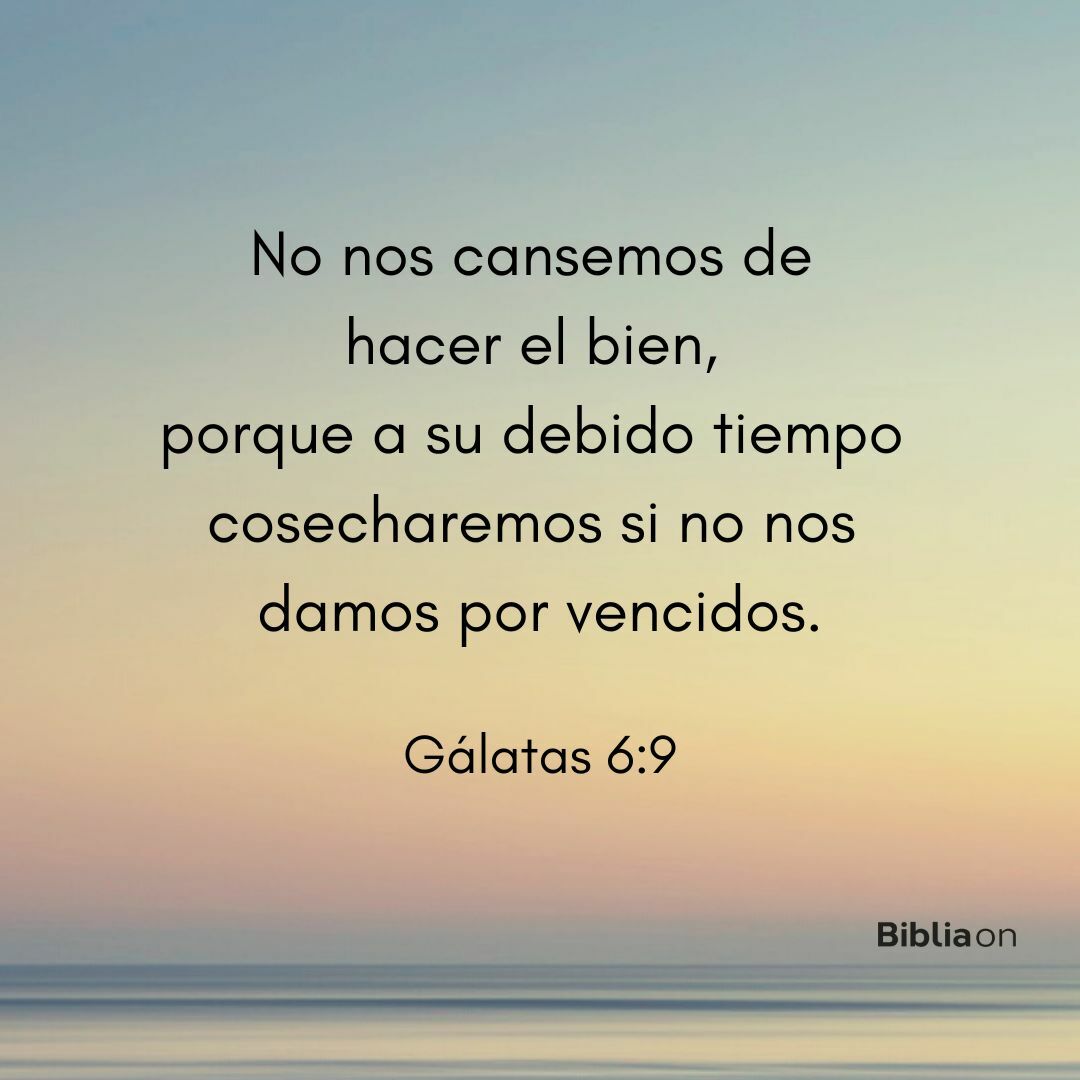 No nos cansemos de hacer el bien, porque a su debido tiempo cosecharemos si no nos damos por vencidos. (Gálatas 6:9)