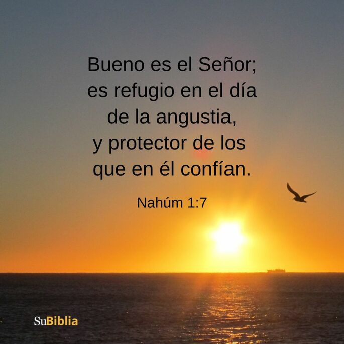 Bueno es el Señor; es refugio en el día de la angustia, y protector de los que en él confían. (Nahúm 1:7)