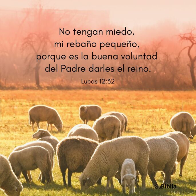 No tengan miedo, mi rebaño pequeño, porque es la buena voluntad del Padre darles el reino. (Lucas 12:32)