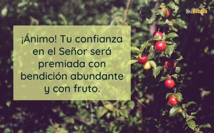 ¡Ánimo! Tu confianza en el Señor será premiada con bendición abundante y con fruto.