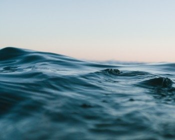 El bautismo de Jesús: cómo fue y por qué se bautizó
