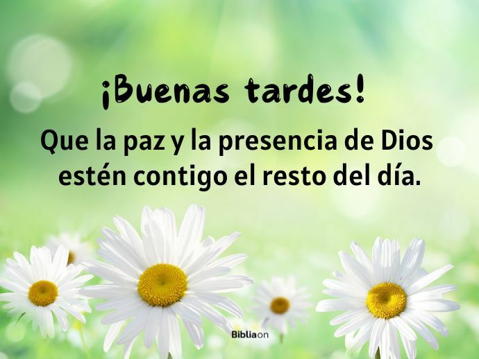 ¡Buenas tardes! Que la paz y la presencia de Dios estén contigo el resto del día.