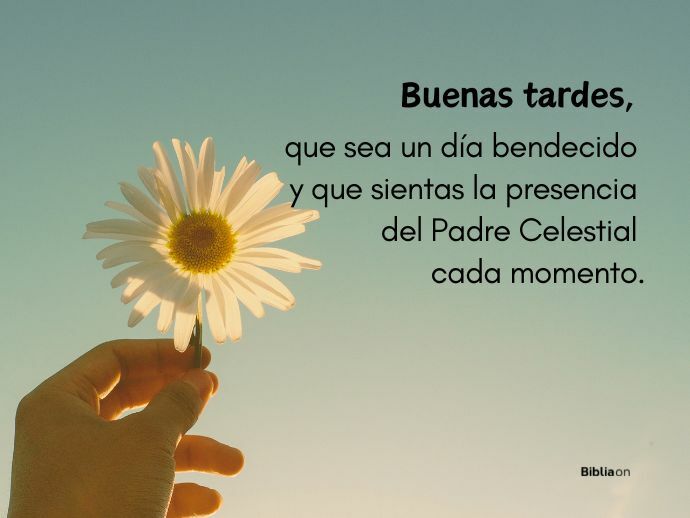 Buenas tardes, que sea un día bendecido y que sientas la presencia del Padre Celestial cada momento.