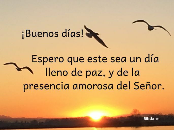 ¡Buenos días! Espero que este sea un día lleno de paz, y de la presencia amorosa del Señor.