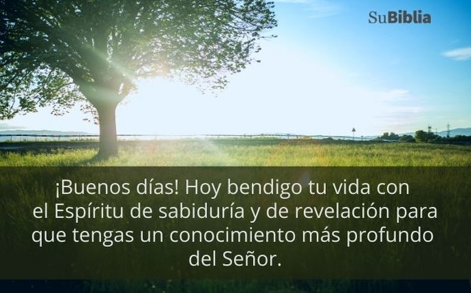 ¡Buenos días! Hoy bendigo tu vida con el Espíritu de sabiduría y de revelación para que tengas un conocimiento más profundo del Señor.