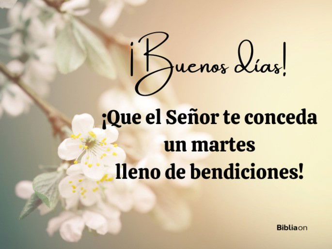 Buenos días ¡Que el Señor te conceda un martes lleno de bendiciones!