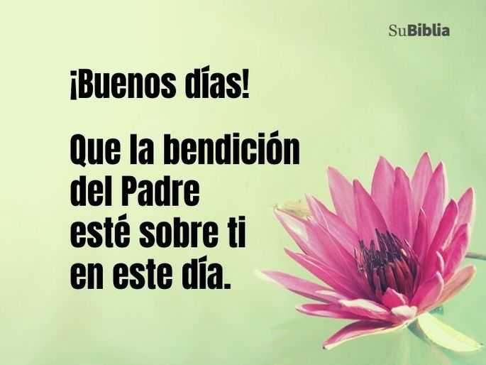 ¡Buenos días! Que la bendición del Padre esté sobre ti en este día.