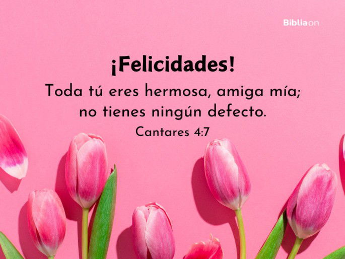 Toda tú eres hermosa, amiga mía; no tienes ningún defecto. (Cantares 4:7)