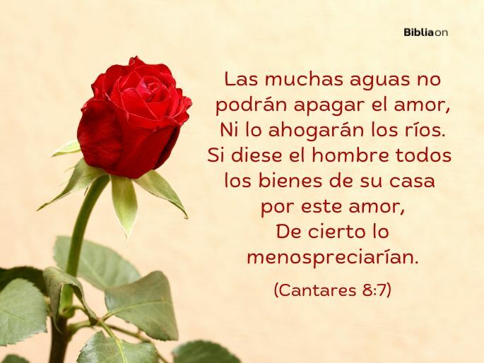 Las muchas aguas no podrán apagar el amor, Ni lo ahogarán los ríos. Si diese el hombre todos los bienes de su casa por este amor, De cierto lo menospreciarían. (Cantares 8:7)