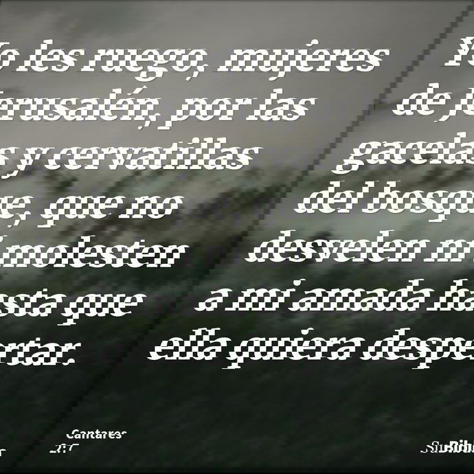 Yo les ruego, mujeres de Jerusalén, por las gacelas y cervatillas del bosque, que no desvelen ni molesten a mi amada hasta que ella quiera despertar. --- Cantares 2:7