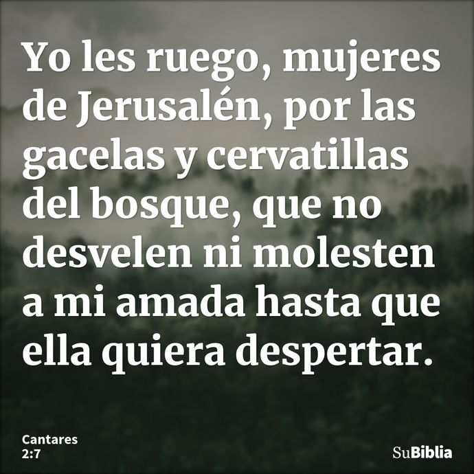 Yo les ruego, mujeres de Jerusalén, por las gacelas y cervatillas del bosque, que no desvelen ni molesten a mi amada hasta que ella quiera despertar. --- Cantares 2:7