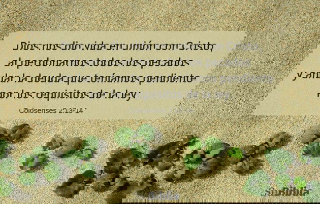 Dios nos dio vida en unión con Cristo, al perdonarnos todos los pecados y anular la deuda que teníamos pendiente por los requisitos de la ley. Él anuló esa deuda que nos era adversa, clavándola en la cruz. (Colosenses 2:13b-14)