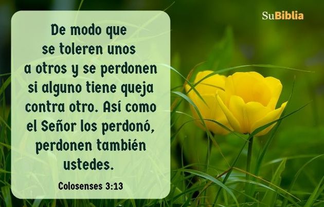 De modo que se toleren unos a otros y se perdonen si alguno tiene queja contra otro. Así como el Señor los perdonó, perdonen también ustedes. (Colosenses 3:13)