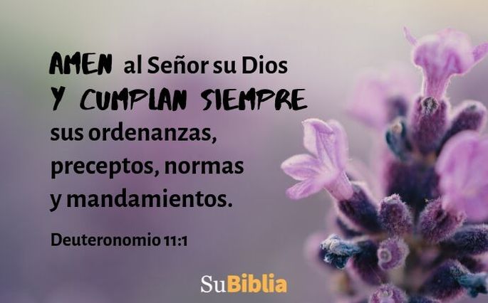 Amen al Señor su Dios y cumplan siempre sus ordenanzas, preceptos, normas y mandamientos. (Deuteronomio 11:1)