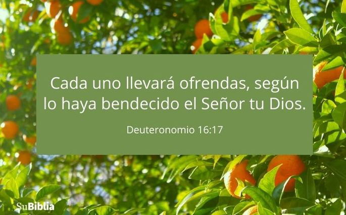 Cada uno llevará ofrendas, según lo haya bendecido el Señor tu Dios. (Deuteronomio 16:17)