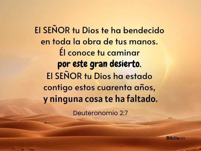 El SEÑOR tu Dios te ha bendecido en toda la obra de tus manos. Él conoce tu caminar por este gran desierto. El SEÑOR tu Dios ha estado contigo estos cuarenta años, y ninguna cosa te ha faltado. (Deuteronomio 2:7)