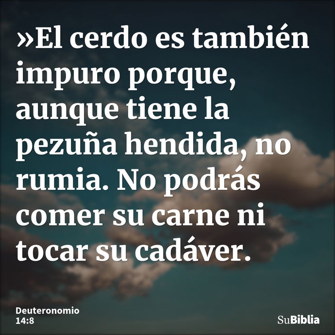 »El cerdo es también impuro porque, aunque tiene la pezuña hendida, no rumia. No podrás comer su carne ni tocar su cadáver. --- Deuteronomio 14:8