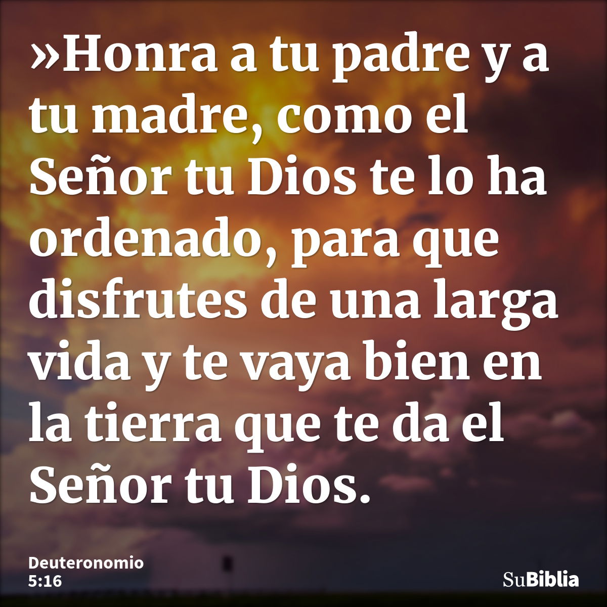 Deuteronomio 5:16 - Biblia