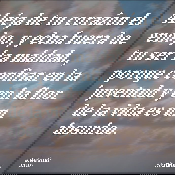 Aleja de tu corazón el enojo, y echa fuera de tu ser la maldad, porque confiar en la juventud y en la flor de la vida es un absurdo. --- Eclesiastés 11:10