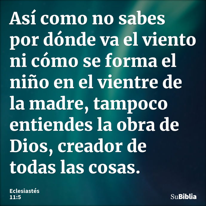 Así como no sabes por dónde va el viento ni cómo se forma el niño en el vientre de la madre, tampoco entiendes la obra de Dios, creador de todas las cosas. --- Eclesiastés 11:5