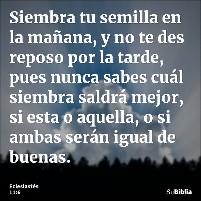 Siembra tu semilla en la mañana, y no te des reposo por la tarde, pues nunca sabes cuál siembra saldrá mejor, si esta o aquella, o si ambas serán igual de buena... --- Eclesiastés 11:6