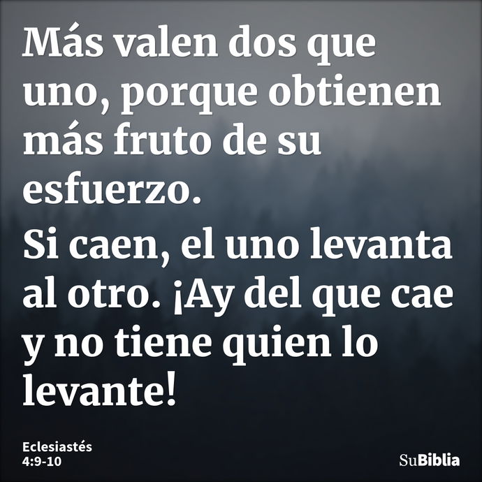 Más valen dos que uno, porque obtienen más fruto de su esfuerzo. Si caen, el uno levanta al otro. ¡Ay del que cae y no tiene quien lo levante! --- Eclesiastés 4:9