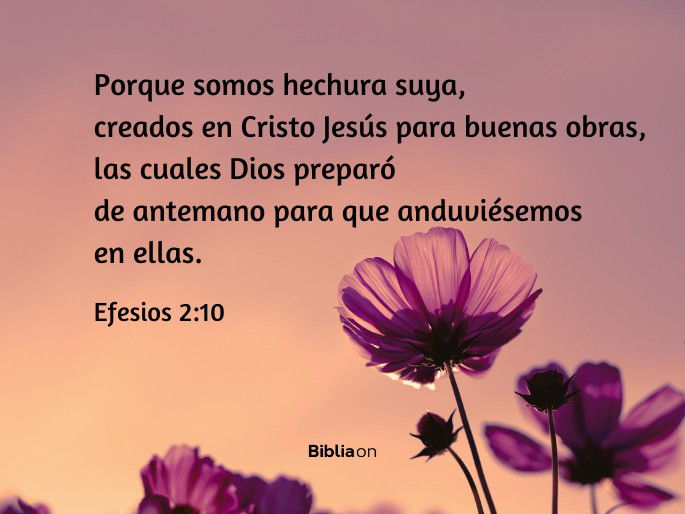 Porque somos hechura suya, creados en Cristo Jesús para buenas obras, las cuales Dios preparó de antemano para que anduviésemos en ellas. (Efesios 2:10)