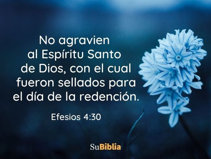 77 textos bíblicos cortos y bonitos para memorizar Biblia