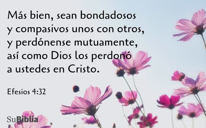 Más bien, sean bondadosos y compasivos unos con otros, y perdónense mutuamente, así como Dios los perdonó a ustedes en Cristo. (Efesios 4:32)