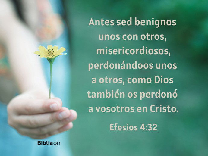 Antes sed benignos unos con otros, misericordiosos, perdonándoos unos a otros, como Dios también os perdonó a vosotros en Cristo. (Efesios 4:32)