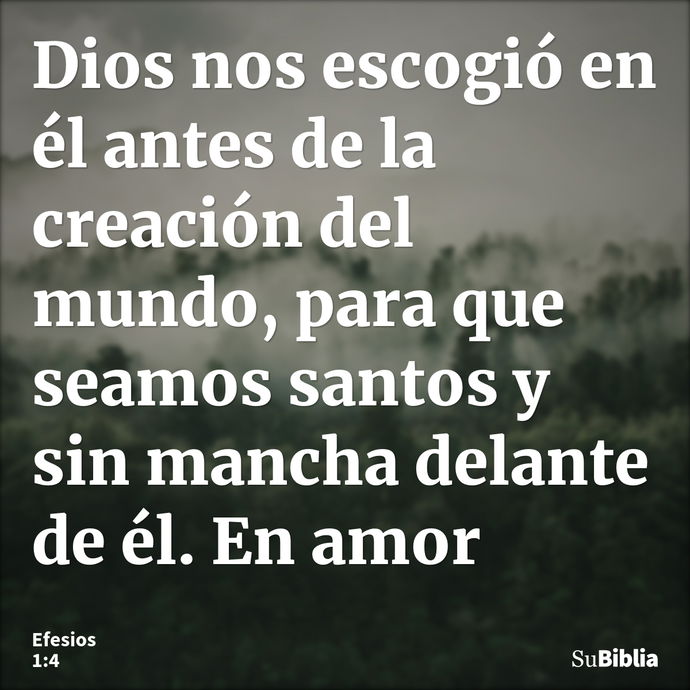 Dios nos escogió en él antes de la creación del mundo, para que seamos santos y sin mancha delante de él. En amor --- Efesios 1:4