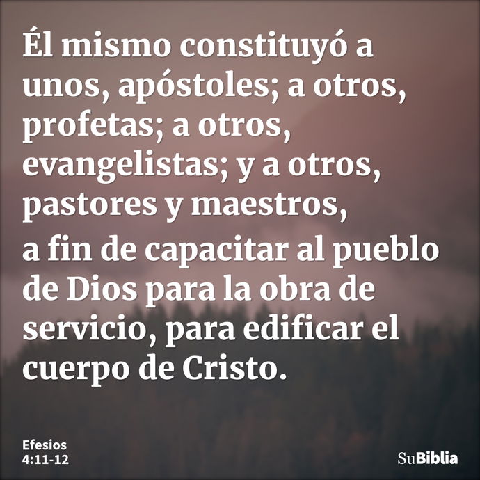 Él mismo constituyó a unos, apóstoles; a otros, profetas; a otros, evangelistas; y a otros, pastores y maestros, a fin de capacitar al pueblo de Dios para la ob... --- Efesios 4:11