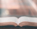7 enseñanzas del libro de Rut